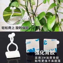  Green dill climbing wall hook climbing vine plant fixing clip Wall hook fixing clip fixing artifact Vine climbing wall buckle