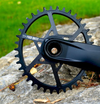 PASS elliptical disc SRAM NX XX X1 X01 EAGLE 11 12-speed BOOST GXP positive and negative tooth single disc