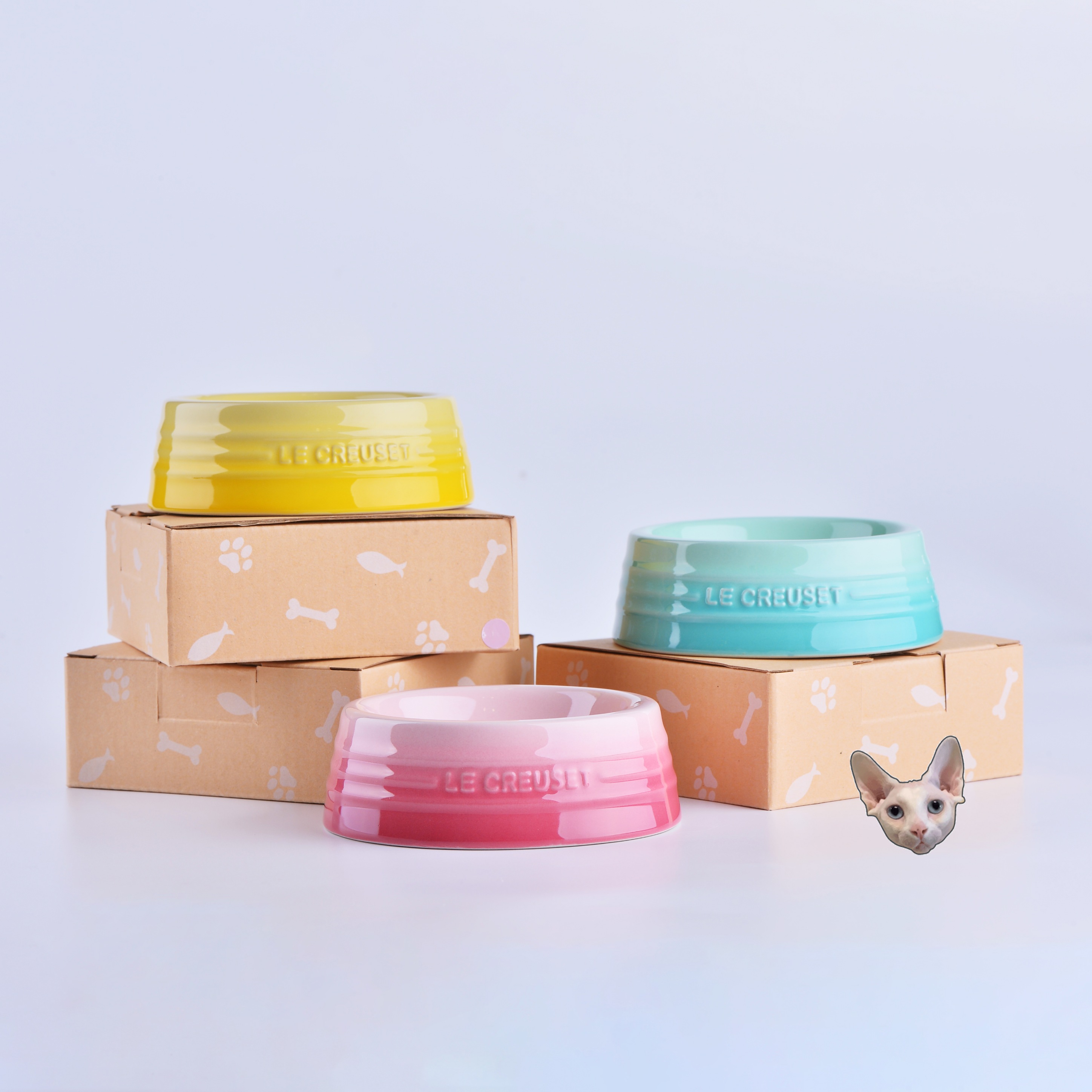 Crispy Shark New Le Creuset Cool Pet Bowl Mini Mini Cat and Dog Food Basin Part of the spot