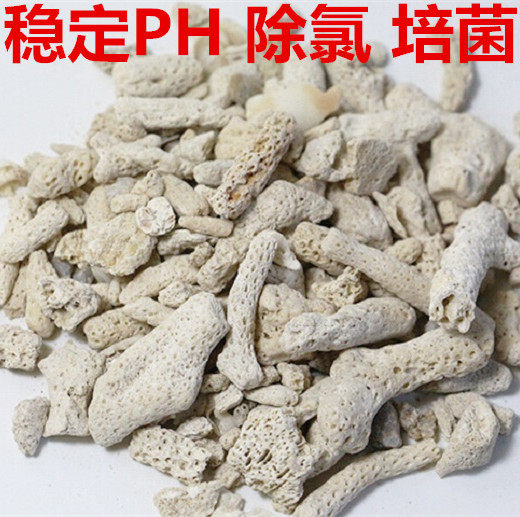 Coral stone Coral sand Philippine sand fish tank filter material Landscaping Natural stone Coral bone Improve purification water quality