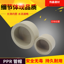 PPR hot melt pipe plug cap 20 25 32 40 50 63 75 90 110 160 accessories joint