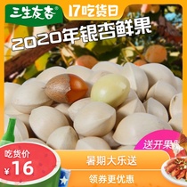 2020 Fresh ginkgo biloba fruit premium dried white fruit kernels large fruit grains 50-90 years wild old tree Xuzhou specialty 1kg