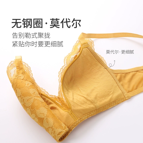 [69 Юаньская область] Городская красавица Let Petal Lace собирает чашку треугольника без стального кольца модальной чашки в нижнем белье