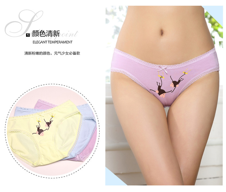 Slip 2K6335 en coton - Ref 668259 Image 7