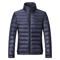 101 (тибетский цин)