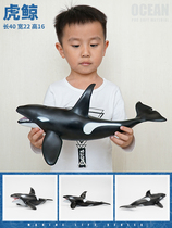 Killer whale orcas shark shark simulation toy model marine animal super large soft rubber boy