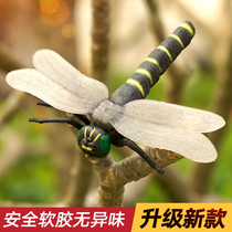 Large Number Children Toys Emulation Toy Insect Models Pendulum dragonflies crickets Crickets Grasshopper lone Fairy Ants Shit Shell Groom