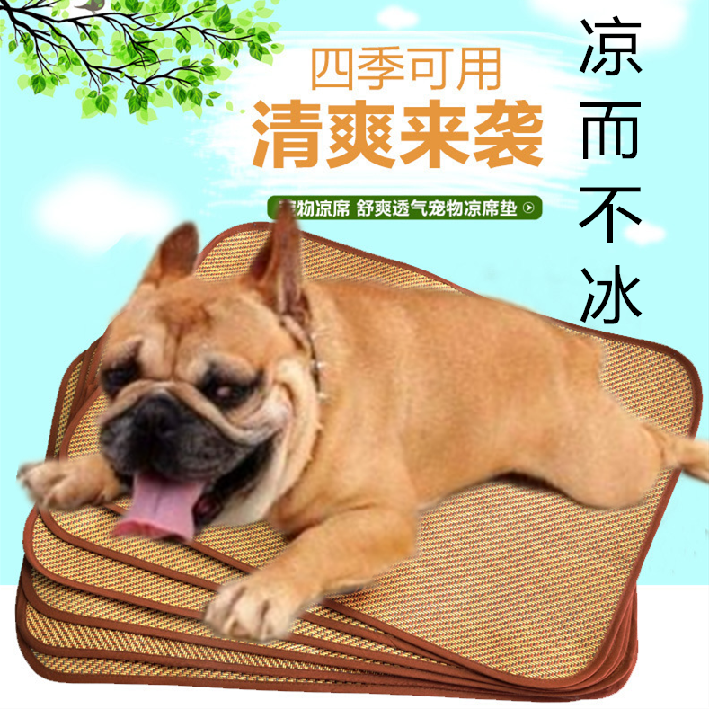 Pooch mat Summer Pets resistant to bite mat Mat Mat Summer Cool Nest Teddy Small Medium Dog Gold Wool Cat All Season Mat