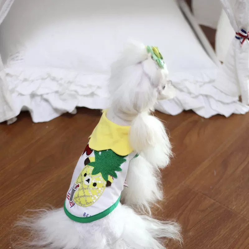 Aipet thú cưng len thêu dứa những người yêu thích thắt nơ nhỏ VIP Teddy quần áo cún con - Quần áo & phụ kiện thú cưng mũ bảo hiểm cho mèo