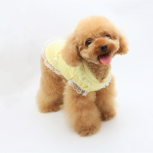 Aipet thú cưng Nhật Bản và Hàn Quốc quilted nhà ren nhỏ vest VIP Teddy quần áo thú cưng váy - Quần áo & phụ kiện thú cưng áo múa lân cho chó