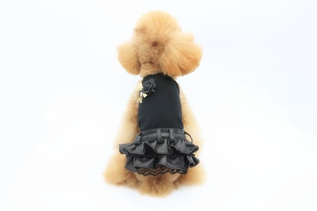 * Quần áo thú cưng AIPET 2016 mới * Teddy VIP nhỏ nước hoa ren pu da váy sling - Quần áo & phụ kiện thú cưng áo chó mèo