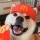 Шапка McDonald's с рацией, шапка для домашних животных, шляпа от солнца, шляпа от солнца, кошачья шапка, вставьте ее, чтобы сделать забавные и милые снимки mini 2