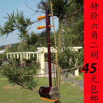 Factory price direct imitation mahogany hexagonal erhu with nylon bow national musical instruments beginner send 4 accessories sale