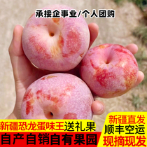 Mid Autumn Festival