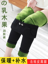 Shea Wood fruit moisturizing pants leggings women wear autumn and winter thick velvet warm waist elastic Magic small feet black pants