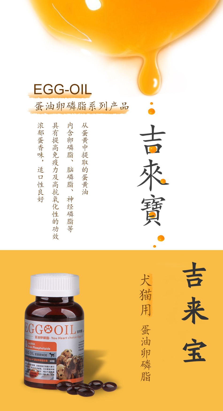 Gilles trứng bơ thú cưng lecithin mèo chó chăm sóc sức khỏe làm đẹp chăm sóc lông sạch mạch máu bảo vệ gan sữa cho mèo con mất mẹ
