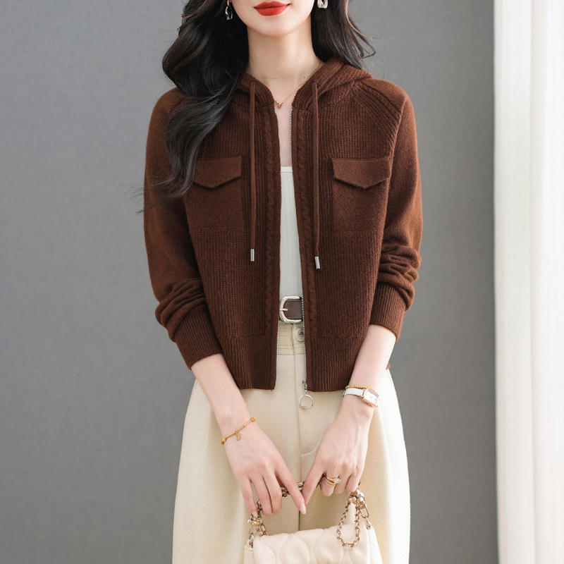 High-End Hooded Short Cashmere Sweater Cardigan for Women 2026 Autumn and Winter New Style Elegant Versatile Loose Wool Coat