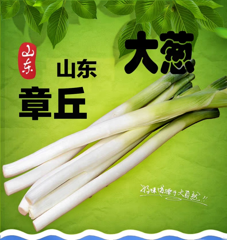 章丘葱岭人家章丘特产店的LOGO