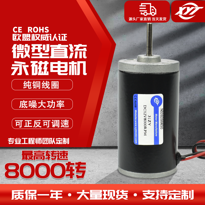 31ZY Miniature DC Permanent Magnet Motor High Power Motor Speed Adjustable Small Motor 6V12V24V