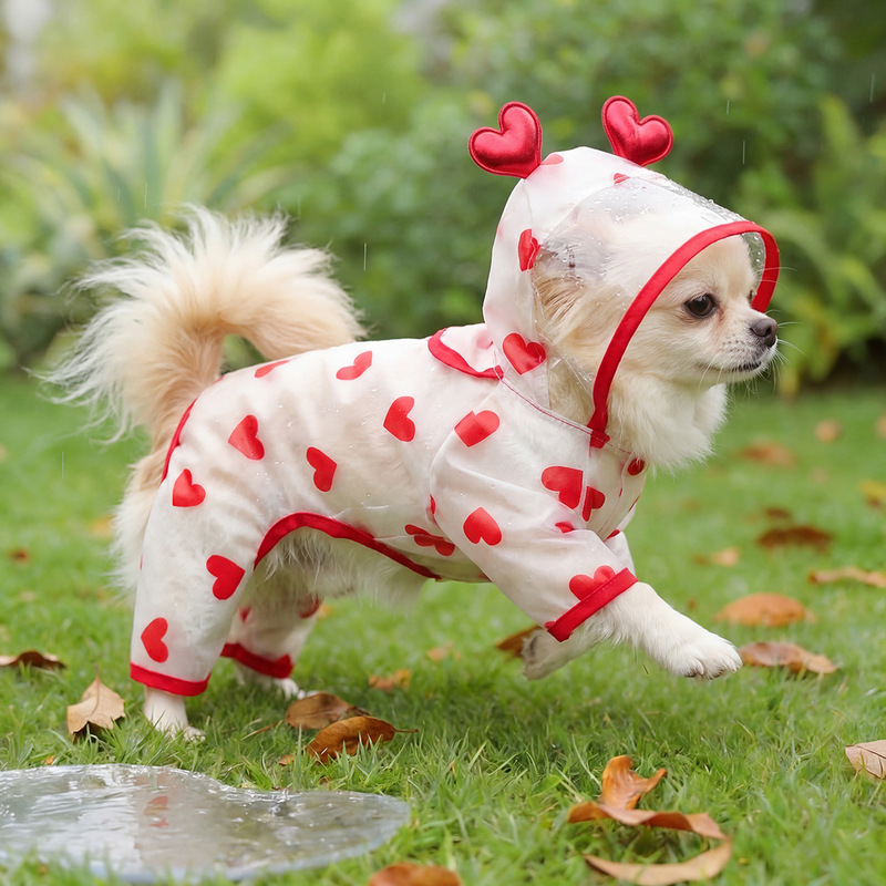 Spring and Summer New Outdoor Dog Raincoat Transparent Waterproof Rainbow Raincoat Teddy Bichon Small and Medium-Sized Dog Raincoat