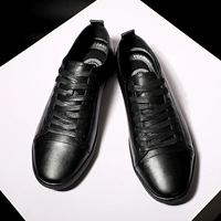ZH-20188 Black