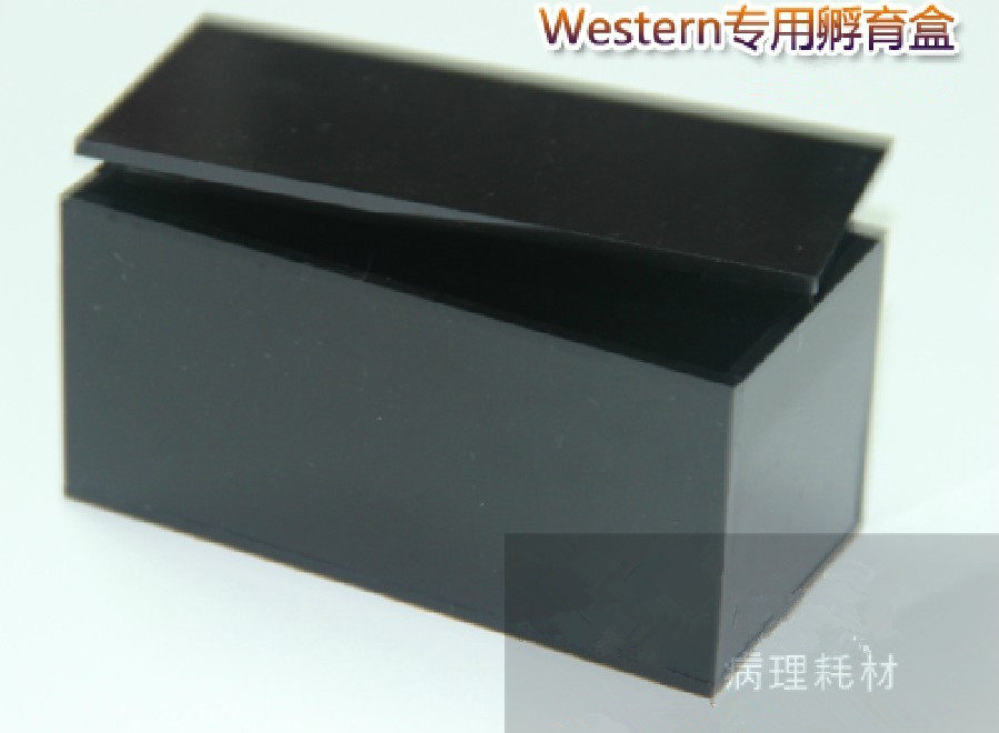 实验用品 Western Blot抗体孵育盒全新 WB孵育盒1格 透光 避光