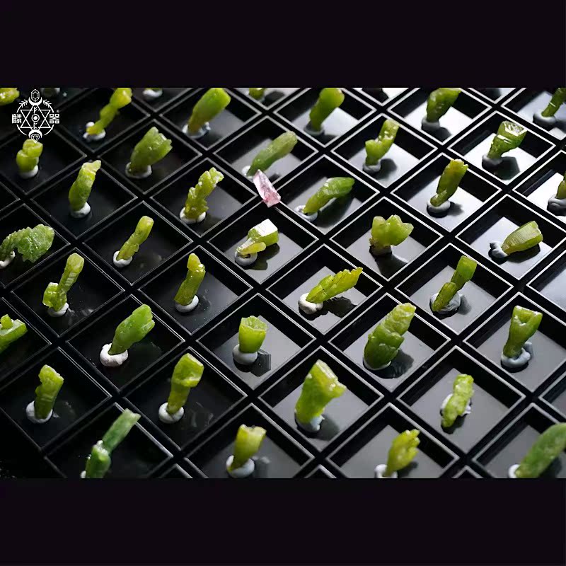 (Linqi Creation Society) Green Phosphorus Chloride Lead Wine Glass Single Crystal Mineral Crystal Jewelry Creative Design Necklace