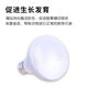 Rutin Chicken Insulation Lamp ເຄື່ອງເຮັດຄວາມຮ້ອນ Turtle Box Heating Bulb Parrot Insulation Lamp UVA Day Lamp Moonlight Night Lamp