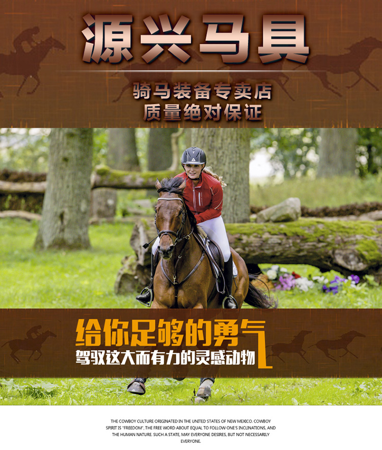 Article sports equestres - Ref 1387567 Image 6