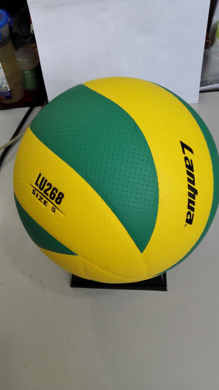Ballon de volley - Ref 2011852 Image 10
