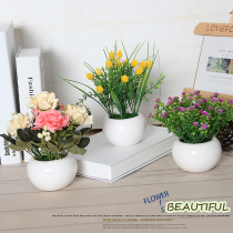 Home decoration Home decoration Exhibition activities Exhibition hall Store decoration Office entrance Fake flower simulation flower pot planting green plant ornaments