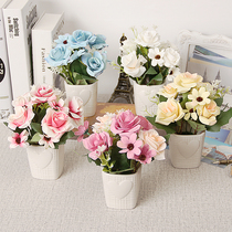 Valentines Day to send girlfriend mother mother holiday Persian rose Green potted set desktop office ornaments