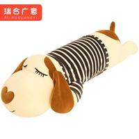 Светло -цветная собака синяя одежда