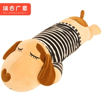 Коричневая собака синяя одежда