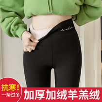 Plus velvet padded leggings womens winter wear high waist elasticity slim large size warm one lamb wool cotton pants
