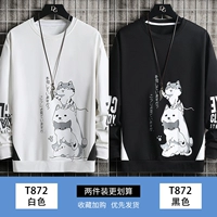 T872 White+T872 Black