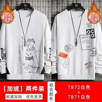 T872 White [PLEL]+T871 White [PLEL]