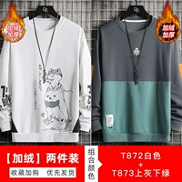 T872 Белый [Плилы]+T873 серо -зеленый [добавить бархат]