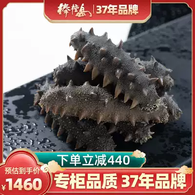 Bangzhu Island semi-dry sea cucumber 500g Dalian Liao sea cucumber salted sea cucumber pull cylinder salt non-ready-to-eat household simple clothing
