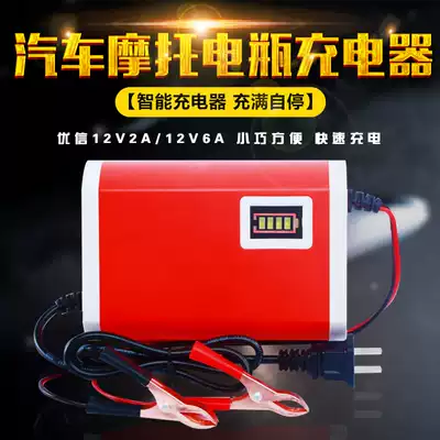 Car battery charger 12v pedal locomotive lead-acid battery 12 Volt car Intelligent Universal Charger