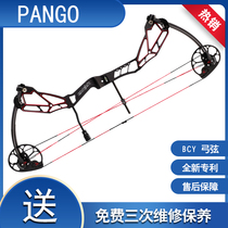 Pangu compound bow pulley bow new non-dual-purpose pure archery special high-end compound hunting bow Leiwanon new product