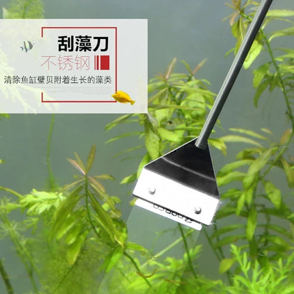 Sensen из нержавеющей стали Pyramida ножничные ножницы Pingzha Sho Scoer Scream