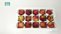 Chengdu Chengzhi nectarine packing box 30 24 fruit foam lattice box express carton wholesale