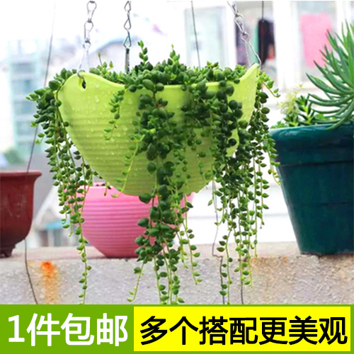 Flower pot hanging pot large thickened hanging basket hanging wall railing green dill succulent plant flower climbing vine hanging chain hanging