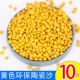 AA имитационный фарфоровый песок 10 Jin (желтый)