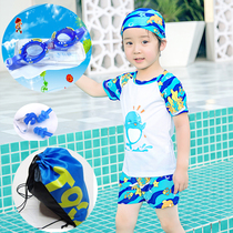 Childrens swimsuit boy swimming trunks set Boy split small middle and big children small dinosaur short sleeve swimsuit baby delivery cap