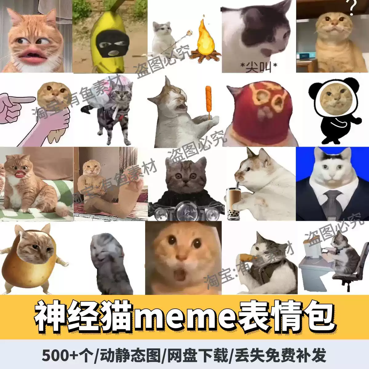 500+个耄耋猫meme动静态表情包微信群斗图抖音