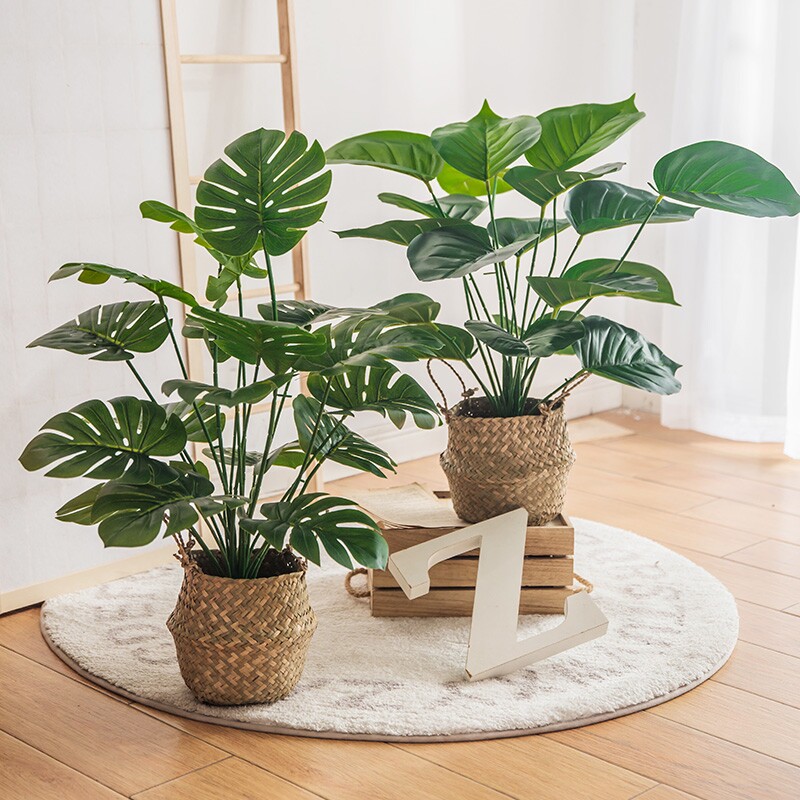 Nordic emulated green plant small potted turtle back bamboo fake tree built-in-room living-room pendulum with decorative floor plastic flower-Taobao