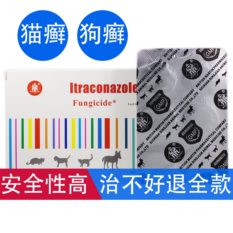 Viên nén Fuqu Khang itraconazole mèo ringworm sữa ringworm canine microspore nấm nấm mèo rụng tóc rêu mèo thuốc uống - Cat / Dog Medical Supplies