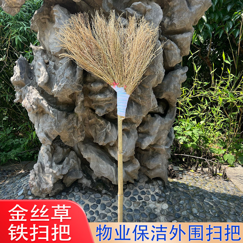 金丝草扫把观音草加大加厚学校院子工厂用环卫工水泥地铁树扫帚